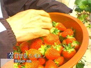 상큼함을 드세요