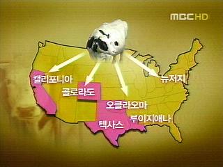 미국서 쇠고기 또 리콜