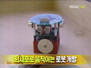 뇌세포로 움직이는 로봇 개발