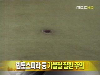 단신 렙토스피라 등 가을철 질환 주의