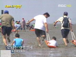 신나는 갯벌썰매
