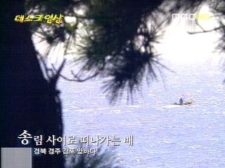 송림 사이로 떠나가는 배