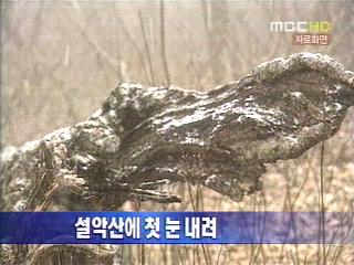 단신 설악산에 첫 눈 내려