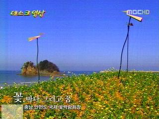 꽃 바다 그리고 꿈