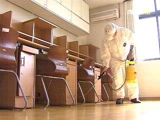 신종플루 대학으로 번진다개강 연기 속출