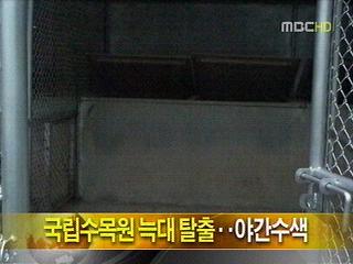 단신 국립수목원 늑대 탈출야간 수색