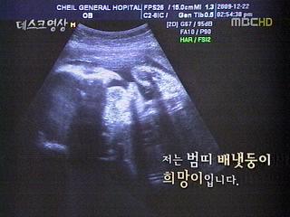 저는 범띠 희망이 입니다