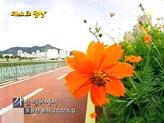 가을 길목에서