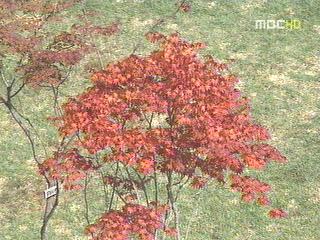 9월의 마지막 휴일 가을 정취 물씬