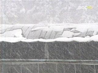 기록적 폭설무너지고 전복되고 피해 속출