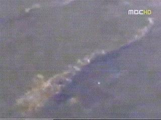 체르노빌 4미터 괴물 메기 출현 