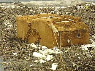 영일만 쓰레기와의 전쟁어민들 비상