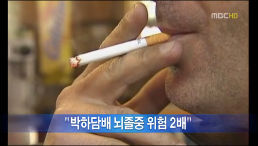 "박하담배 흡연자 뇌졸중 위험 2배"