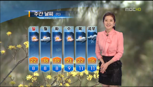 날씨 서울 벚꽃 개화 시작따뜻한 주말