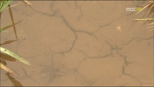 전국 비 가뭄 90 이상 해갈"비 더 내려야"