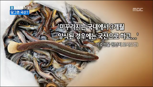 중국산 미꾸라지 며칠간 물에 담갔다가 국내산