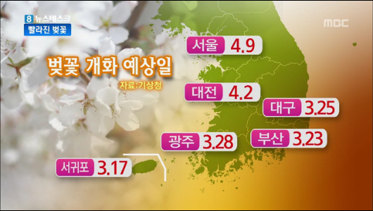 올 벚꽃 빨리 핀다각 지역별 개화 시기는