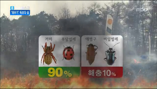 농사 앞두고 논두렁 태우기 한창득보다 실