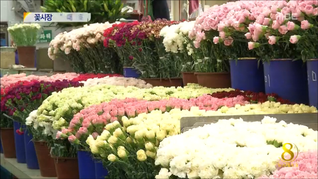 대목 잃은 꽃 시장 농가 울상국산 생화 찾기 어렵다