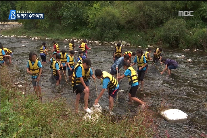 세월호 참사 후 달라진 수학여행소규모체험안전 중시