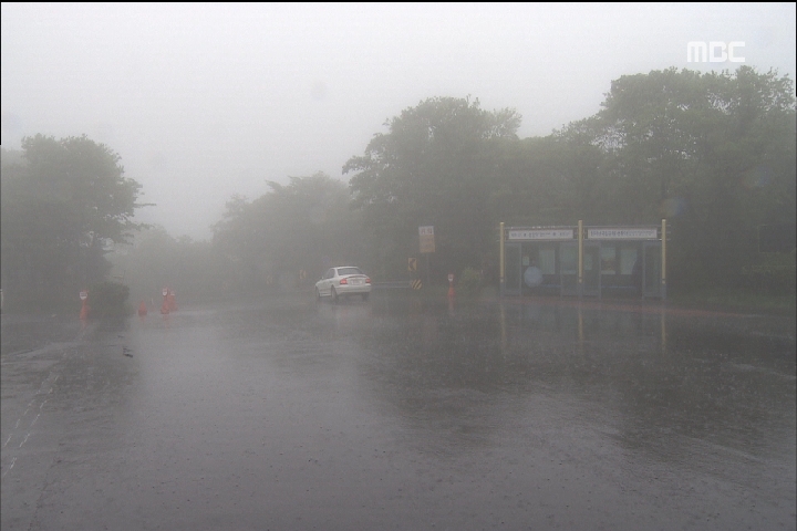 태풍 노을 영향 밤새 최고 250mm 폭우강풍 피해 대비