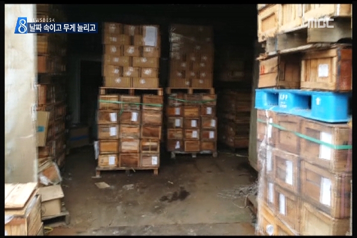 수산물 200억 원어치 중량제조일자 속여 식당에 유통