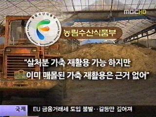 남양주시 구제역 매몰돼지 사체 비료 활용 논란