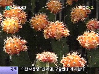 고양 꽃전시회 역대 최대 1천만 달러 수출 계약