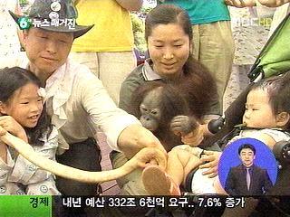 대학병원서울대공원 동물 매개 치료논란