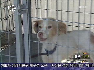 애완동물 인식표 안 달면 과태료