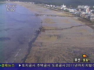 오늘 사리확산 우려