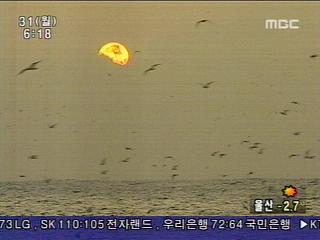 미리 맞은 새 해포항