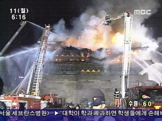 안이한 진화 화 키웠다