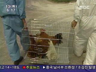 AI 전국이 영향권 토착화 되나