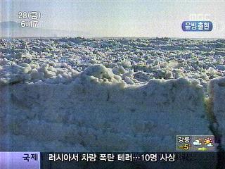 남극이 된 한강유빙에 어획량 110로 줄어