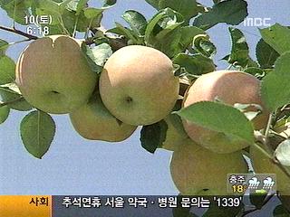 과수농가 추석 막바지 출하에 비상