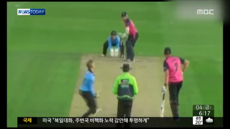 스포츠투데이 공에 맞고 떨어진 비운의 갈매기