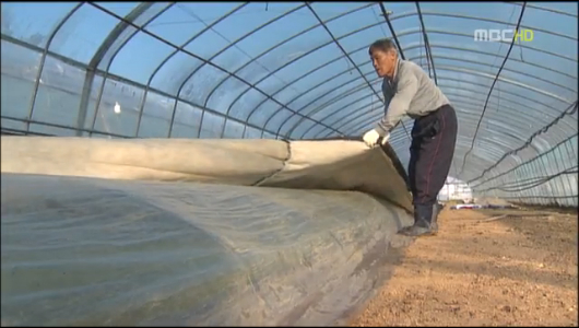 한낮 체감온도 20도 꽁꽁내일 더 춥다