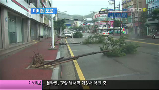 태풍에 찢긴 산하전국 곳곳 깊은 상처