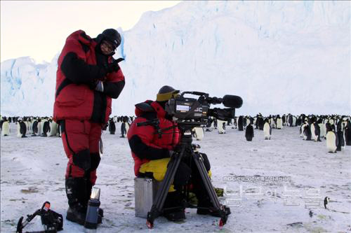 "황제펭귄은 또 다른 '사람'이더라"