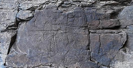 반구대 암각화 그림 11점 더 발견307점