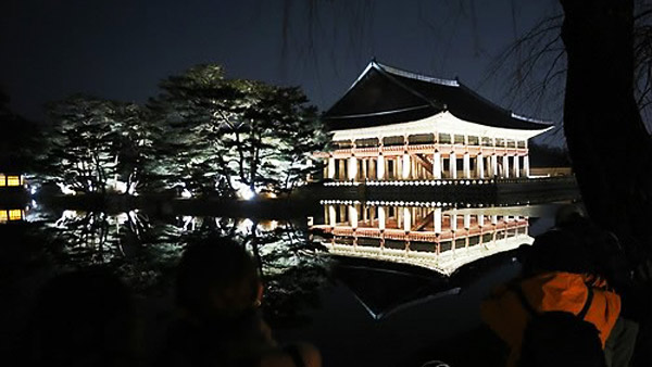 꽃피는 고궁에서 야경을창경궁경복궁 야간개방