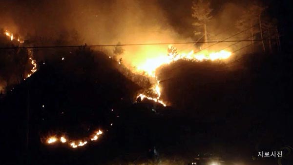 인천 남동구 야산에서 불70대 할머니 사망