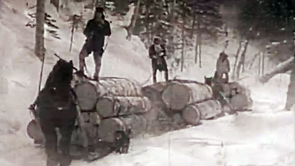 사할린 강제징용자 572명 명단 추가 공개