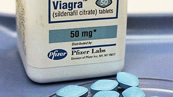  연구팀 "비아그라 심장병 치료 효과 확실"