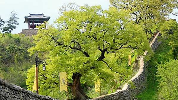 백제역사유적지구 어떤 가치 인정받았나