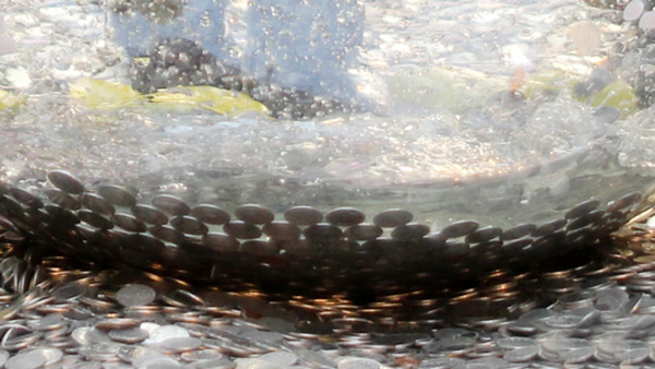 연못 속 행운의 동전 60만원 싹쓸이한 50대 집유