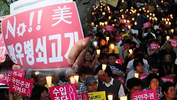 광우병 촛불집회 주도 진보단체 활동가 7년 만에 유죄