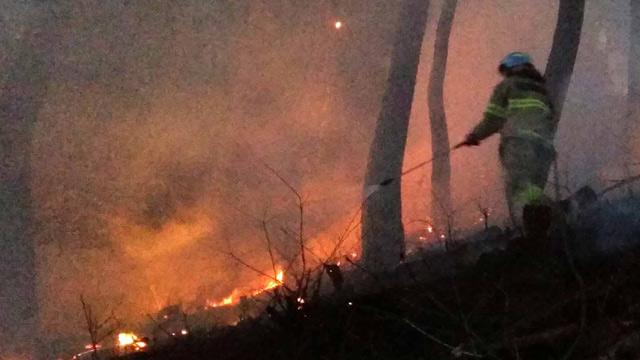 부천 야산에서 불 임야 660제곱미터 태워