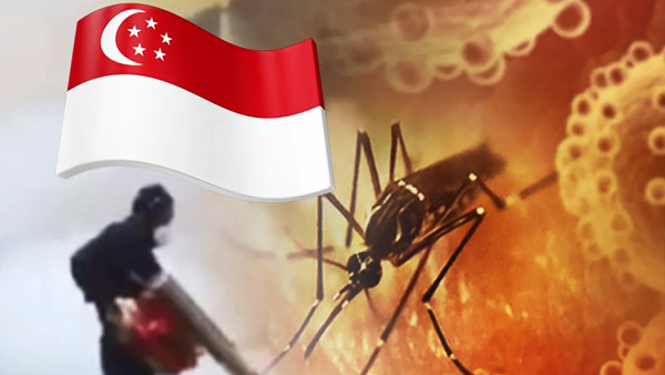 "싱가포르 지카 중남미와 다르지만 예방조처 필요"